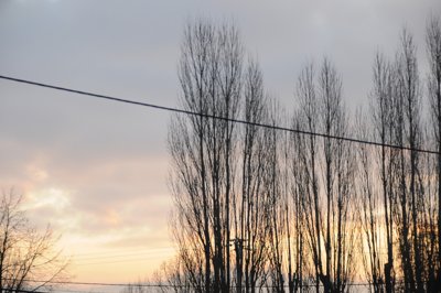 Debout pour le roi soleil_4371680535_l.jpg